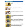 Pack têtes connectés + centrale + thermostat sans fils - Salus
