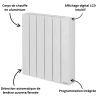 Radiateur électrique à fluide Thermor Baléares 2 Horizontal