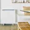 Radiateur électrique à accumulation de chaleur Ecombi PRO ELNUR GABARRON