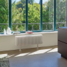 Radiateur électrique sans régulation Vuelta plinthe Acova - Hauteur 310 mm