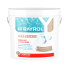 Aquabrome pastille de brome 5kg pour désinfection lente et complémentaire BAYROL