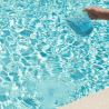 Desalgin Classic lutte contre les algues 1L, 3L, 6L ou 10L BAYROL