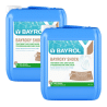 Pack de 2 Bayroxy Shock 10 L Bayrol lutte contre les algues