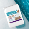 Quickflock Automatic + liquide 2 en 1 : floculant + algicide BAYROL