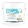 Neutralisateur de Chlore / brome 10kg pour piscine BAYROL