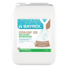 Desalgine G 20 lutte contre les algues BAYROL