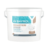 Traitement des filtres Decalcit Filtre 12 kg BAYROL