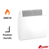 Radiateur convecteur gaz AUER MV Modulgaz + ventouse