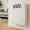 Radiateur convecteur gaz AUER MV Modulgaz + ventouse
