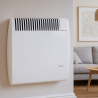 Radiateur convecteur gaz AUER MV Modulgaz + ventouse