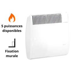 Radiateur convecteur gaz AUER MV Modulgaz + ventouse Radiateur convecteur gaz AUER MV Modulgaz + ventouse
