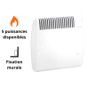 Radiateur convecteur gaz AUER MV Modulgaz + ventouse