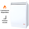 Radiateur gaz ventouse Dulcis AUER