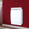 Radiateur gaz ventouse Dulcis AUER