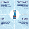 Nettoyant Scale & Stain Cleaner 750 mL PM-102 Piscimar
