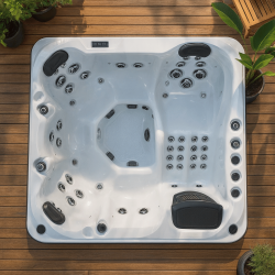 Spa 6 places Refresh Deluxe Platinum Spas Spa 6 places Refresh Deluxe Platinum Spas