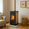 Poêle à bois 7,1 kW Tyra MBS avec plaque de cuisson