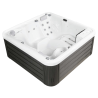 Spa 5 Places modèle Pluto Wellis