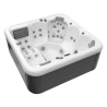 Spa 6 Places modèle Venus Wellis