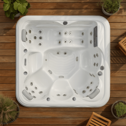 Spa 6 Places modèle Venus Wellis