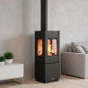 Poêle à bois Bombay-3C BRONPI