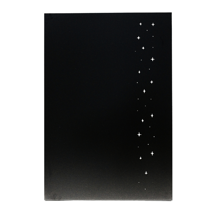 Plaque de protection murale verticale étoiles acier Delvar 80 x 120 cm Edilinox