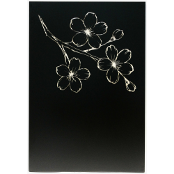 Plaque de protection murale verticale décorative en acier Zelmar 120 x 81 cm Edilinox Plaque de protection murale verticale décorative en acier Zelmar 120 x 81 cm Edilinox