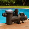 Pompe de Piscine SACI POOL Type WINNER 100 M Mono 0,75 kW BOSTA