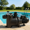 Pompe de piscine Optima Easyflow Saci Pumps 0,2 à 1 CV