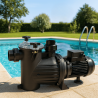 Pompe de Piscine SACI Type OPTIMA 33 M 0,25 kW BOSTA