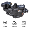 Pompe de Piscine SACI POOL Type WINNER 200 M Mono 1.5 kW BOSTA