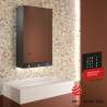 Armoire miroir 60 cm Delabie - 4 fonctions : Miroir, sèche-mains, distributeur de savon, robinet automatique