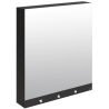 Armoire miroir 60 cm Delabie - 4 fonctions : Miroir, sèche-mains, distributeur de savon, robinet automatique