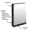 Armoire miroir 60 cm Delabie - 4 fonctions : Miroir, Robinet automatique, distributeur de savon, distributeur essuie-mains