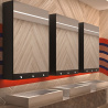 Armoire miroir 80 cm Delabie - 4 fonctions : Miroir, Robinet automatique, distributeur de savon, distributeur essuie-mains