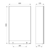 Armoire miroir 60 cm Delabie - 3 fonctions : Miroir, distributeur de savon, distributeur essuie-mains Delabie