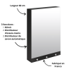 Armoire miroir 60 cm Delabie - 3 fonctions : Miroir, distributeur de savon, distributeur essuie-mains Delabie