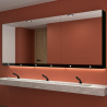 Armoire miroir 80 cm Delabie - 3 fonctions : Miroir, distributeur de savon, distributeur essuie-mains Delabie