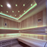 Sauna traditionnel Utopia 6 Holl's