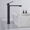 Ensemble mitigeur lavabo réhaussé + Colonne de douche - Couleur Noir mat