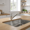 Mitigeur évier de cuisine Victoria N Chrome Roca