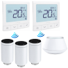 Pack F2/2 têtes connectés + centrale + thermostat sans fils - Salus