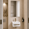 Pack lave-mains : vasque suspendu + robinetterie et siphon or brossé + miroir