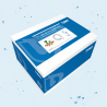 Kit de raccordement adoucisseur 3/4 BWT