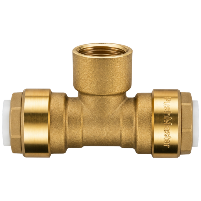 Té rapide femelle ITAP
