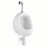 Pack urinoir + robinet temporisé + siphon - Sanindusa