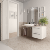Meuble de salle de bains PMR Easy Bath 900 Salgar