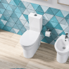 Pack WC S/H Rimflush sans bride blanc EASY SANINDUSA