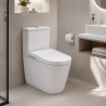 WC LAVANT IN-WASH ROCA INSPIRA A POSER