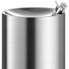 Robinet Rince bouche pour fontaine d'eau Delabie